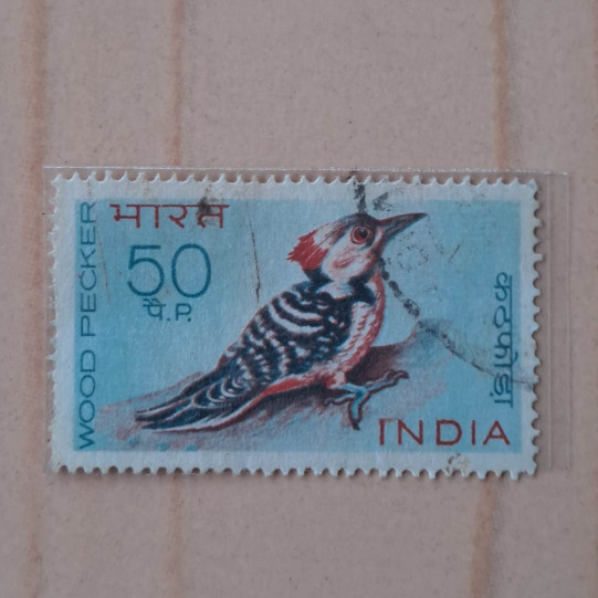 India Used Stamp 1968- Bird Series - Woodpecker (4)